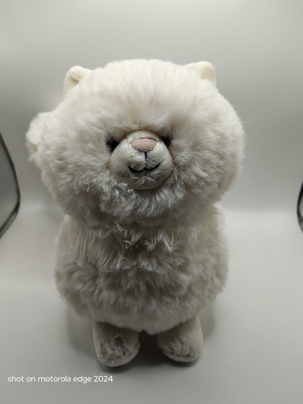 Jellycat Carissa Persian Cat Fluffy Cream White Plush Retired Rare!!